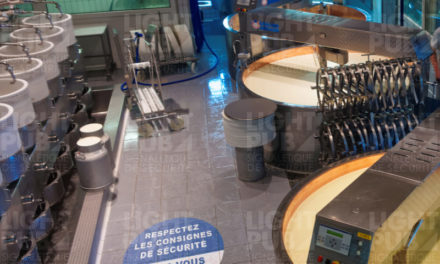 Marquage virtuel par la lumière pour sol humide fromagerie ou industrie agroalimentaire